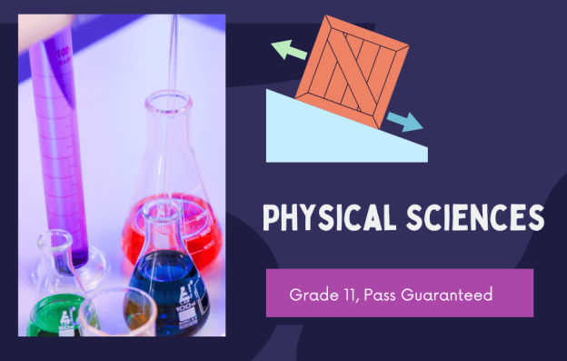 Physical Sciences Grade 11 Tutoring 2024